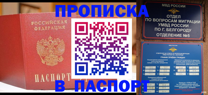 временная регистрация в квартире в Пскове